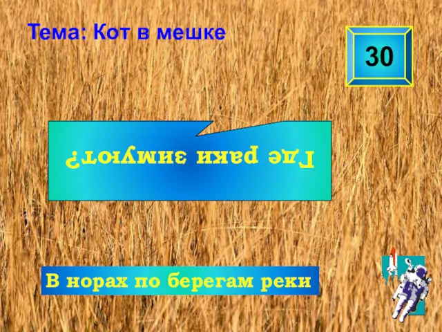 Где раки зимуют? 30 Тема: Кот в мешке В норах по берегам реки