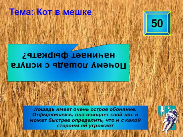 Почему лошадь с испуга начинает фыркать? 50 Тема: Кот в