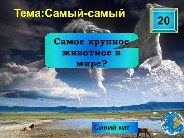 Синий кит 20 Самое крупное животное в мире? Тема:Самый-самый