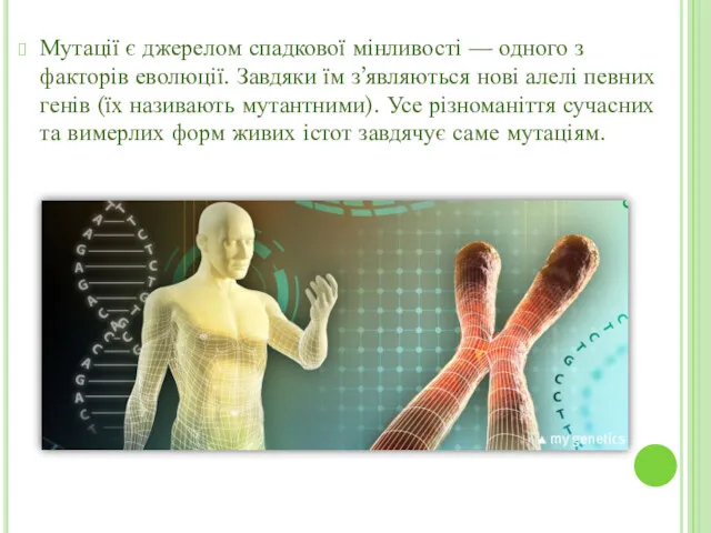 Мутації є джерелом спадкової мінливості — одного з факторів еволюції.