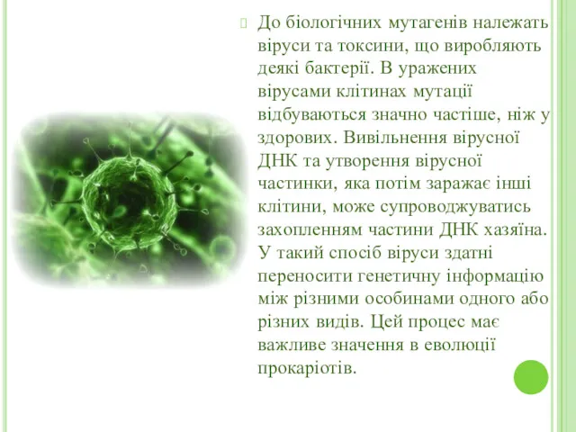До біологічних мутагенів належать віруси та токсини, що виробляють деякі