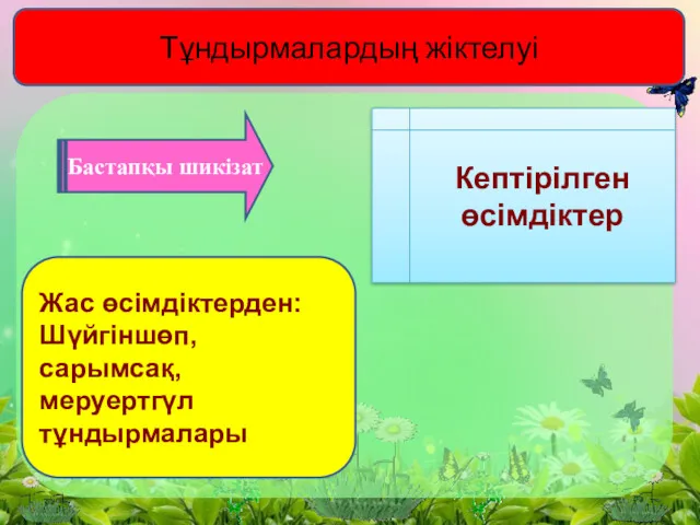 Тұндырмалардың жіктелуі Кептірілген өсімдіктер Бастапқы шикізат Жас өсімдіктерден: Шүйгіншөп, сарымсақ, меруертгүл тұндырмалары