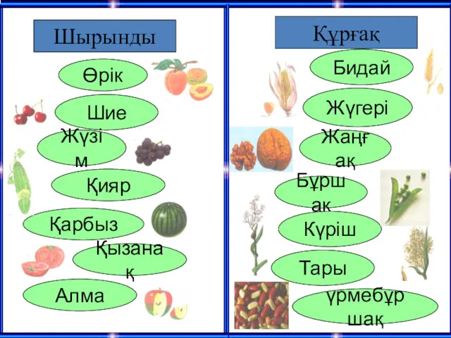 Шырынды Өрік Қарбыз Шие Жүзім Алма Қияр Қызанақ Құрғақ Бидай Жүгері Жаңғақ Бұршақ Күріш Тары үрмебұршақ