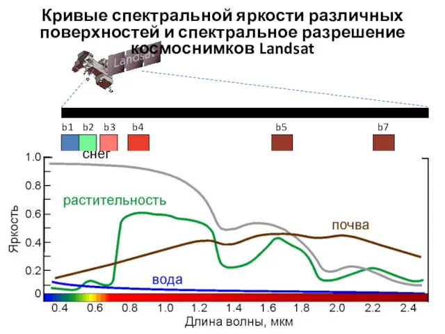 b1 b2 b3 b4 b5 b7 Кривые спектральной яркости различных поверхностей и спектральное разрешение космоснимков Landsat