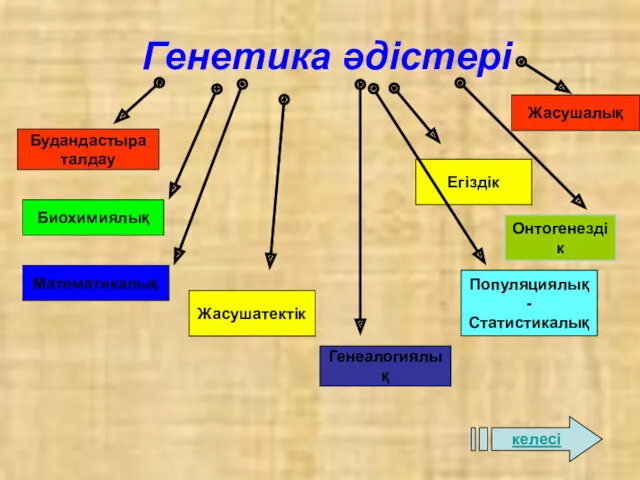 Генетика әдістері Будандастыра талдау Биохимиялық Математикалық Жасушатектік Генеалогиялық Популяциялық- Статистикалық Онтогенездік Жасушалық Егіздік келесі