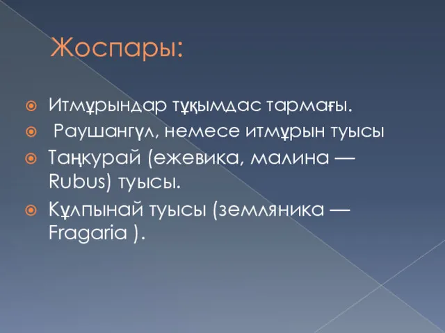 Жоспары: Итмұрындар тұқымдас тармағы. Раушангүл, немесе итмұрын туысы Таңкурай (ежевика,