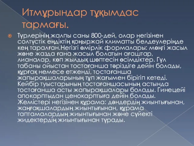 Итмұрындар тұқымдас тармағы. Түрлерінің жалпы саны 800-дей, олар негізінен солтүстік