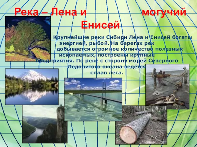 Река – Лена и могучий Енисей Крупнейшие реки Сибири Лена и Енисей богаты