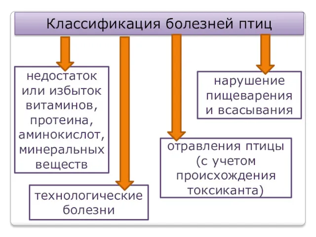 Классификация болезней птиц недостаток или избыток витаминов, протеина, аминокислот, минеральных