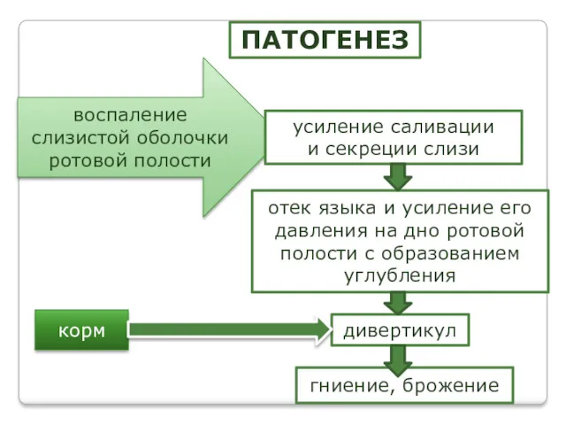 ПАТОГЕНЕЗ воспаление слизистой оболочки ротовой полости усиление саливации и секреции