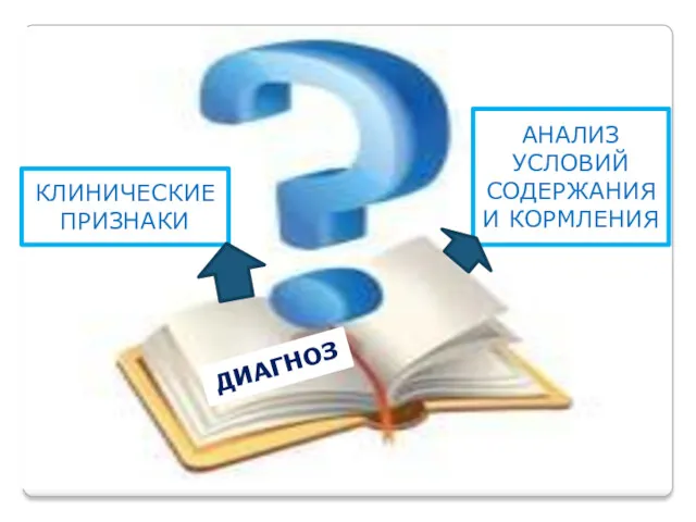 ДИАГНОЗ КЛИНИЧЕСКИЕ ПРИЗНАКИ АНАЛИЗ УСЛОВИЙ СОДЕРЖАНИЯ И КОРМЛЕНИЯ