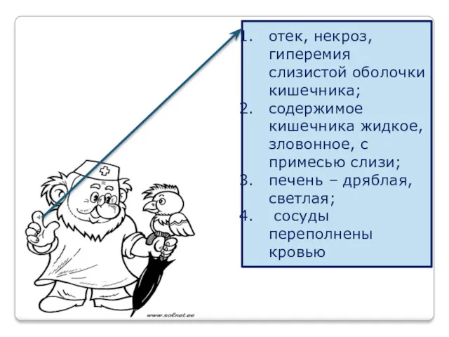 отек, некроз, гиперемия слизистой оболочки кишечника; содержимое кишечника жидкое, зловонное,