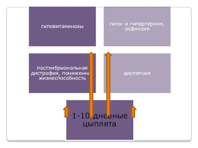 гиповитаминозы гипо- и гипертермия, асфиксия постэмбриональная дистрофия, пониженная жизнеспособность диспепсия 1-10-дневные цыплята