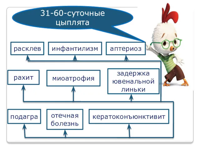 рахит инфантилизм расклев аптериоз 31-60-суточные цыплята задержка ювенальной линьки миоатрофия подагра отечная болезнь кератоконъюнктивит