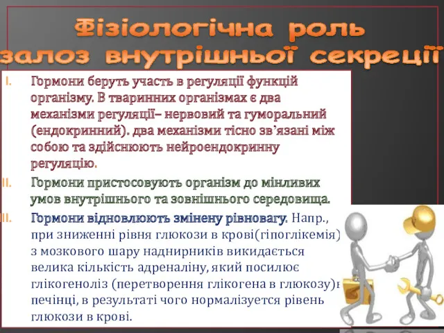 Фізіологічна роль залоз внутрішньої секреції Гормони беруть участь в регуляції