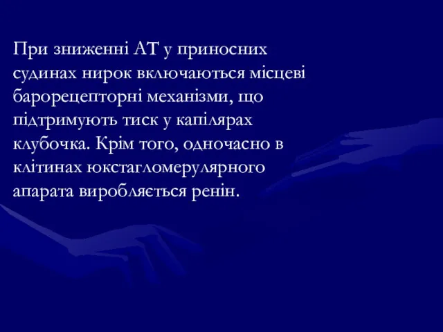 При зниженні АТ у приносних судинах нирок включаються місцеві барорецепторні