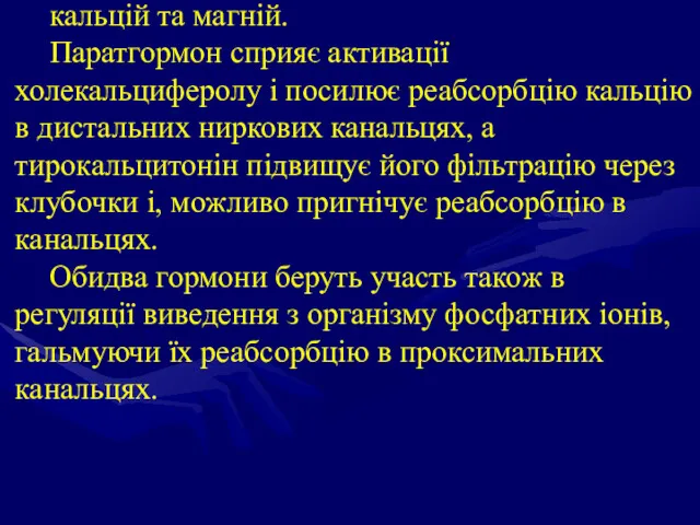 кальцій та магній. Паратгормон сприяє активації холекальциферолу і посилює реабсорбцію