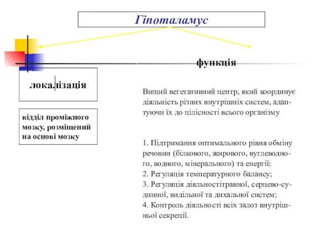 Гіпоталамус локалізація відділ проміжного мозку, розміщений на основі мозку функція