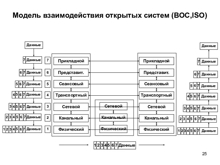 Сетевой Канальный Физический Прикладной Представит. Сеансовый Транспортный Сетевой Канальный Физический