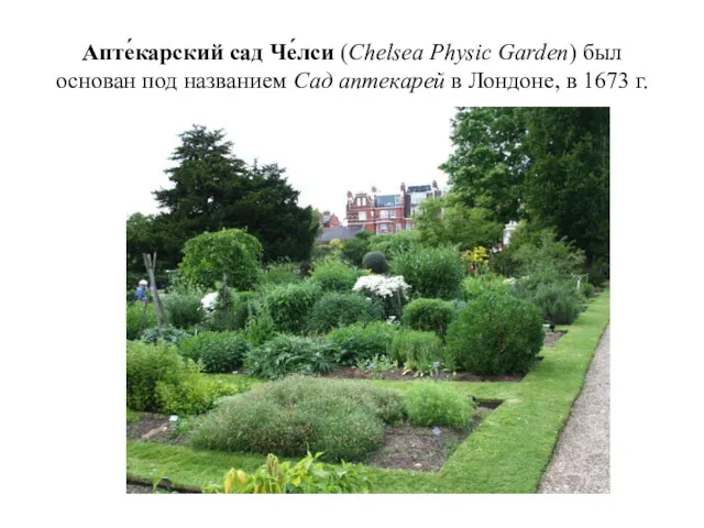 Апте́карский сад Че́лси (Chelsea Physic Garden) был основан под названием Сад аптекарей в