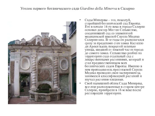 Уголок первого ботанического сада Giardino della Minerva в Салерно Сады Минервы – это,