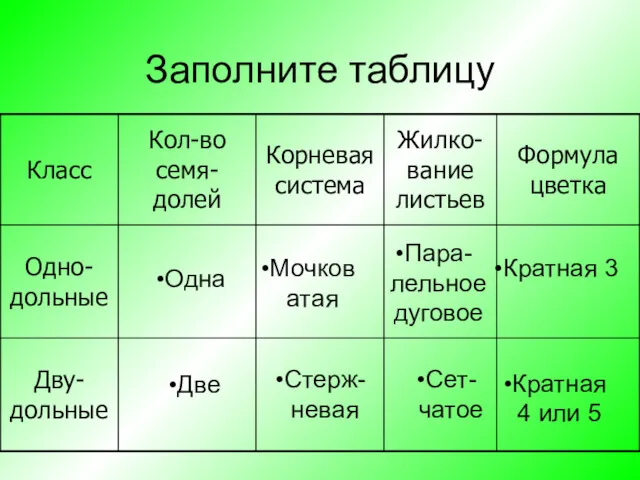 Заполните таблицу Одна Две Мочковатая Пара-лельное дуговое Кратная 3 Стерж-невая Сет-чатое Кратная 4 или 5