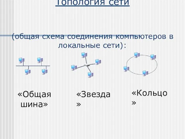Топология сети (общая схема соединения компьютеров в локальные сети): «Общая шина» «Звезда» «Кольцо»
