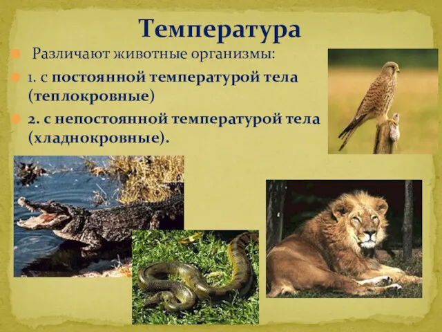 Различают животные организмы: 1. с постоянной температурой тела (теплокровные) 2. с непостоянной температурой тела (хладнокровные). Температура