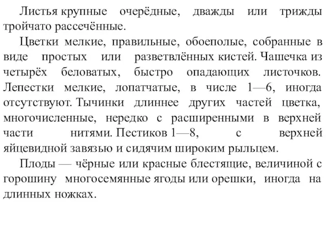 Листья крупные очерёдные, дважды или трижды тройчато рассечённые. Цветки мелкие,