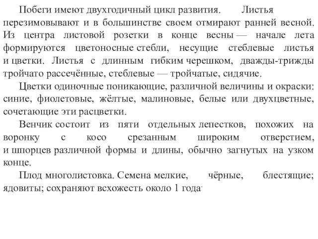 Побеги имеют двухгодичный цикл развития. Листья перезимовывают и в большинстве