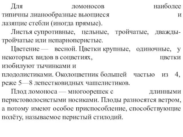 Для ломоносов наиболее типичны лианообразные вьющиеся и лазящие стебли (иногда