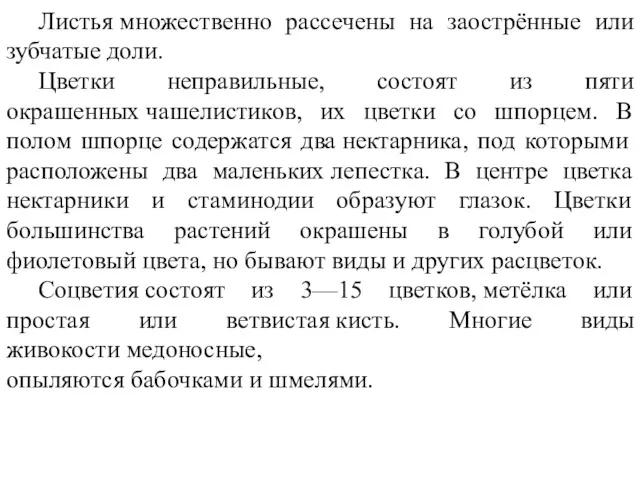 Листья множественно рассечены на заострённые или зубчатые доли. Цветки неправильные,