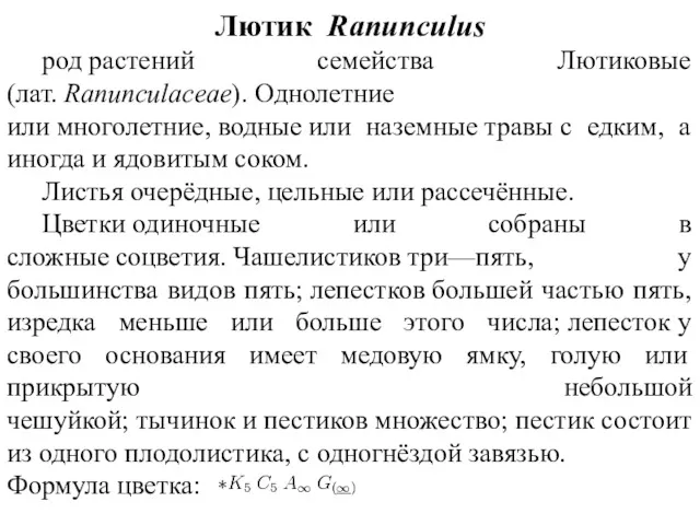 Лютик Ranunculus род растений семейства Лютиковые (лат. Ranunculaceae). Однолетние или