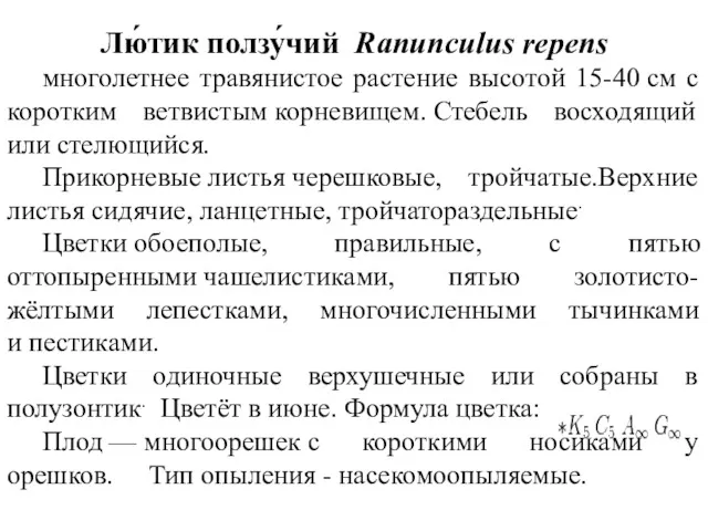 Лю́тик ползу́чий Ranunculus repens многолетнее травянистое растение высотой 15-40 см