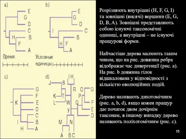 * Розрізняють внутрішні (H, F, G, I) та зовнішні (висячі)