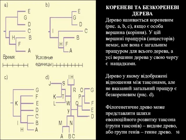 * КОРЕНЕВІ ТА БЕЗКОРЕНЕВІ ДЕРЕВА Дерево називається кореневим (рис. a,