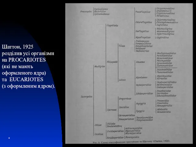 * Шаттон, 1925 розділив усі організми на PROCARIOTES (які не