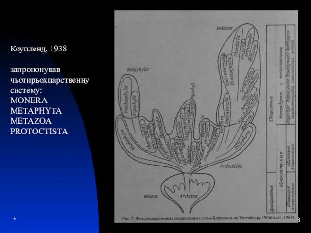 * Коупленд, 1938 запропонував чьотирьохцарственну систему: MONERA METAPHYTA METAZOA PROTOCTISTA