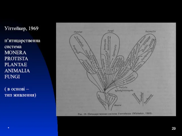 * Уіттейкер, 1969 п’ятицарственна система MONERA PROTISTA PLANTAE ANIMALIA FUNGI ( в основі – тип живлення)