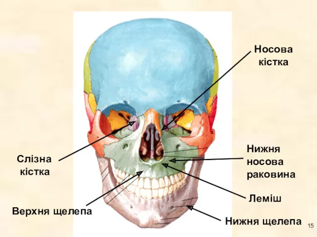 Леміш