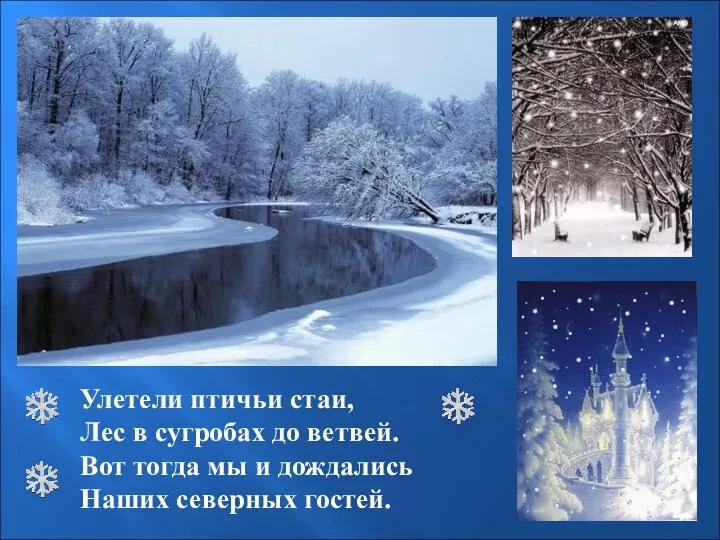 Улетели птичьи стаи, Лес в сугробах до ветвей. Вот тогда мы и дождались Наших северных гостей.