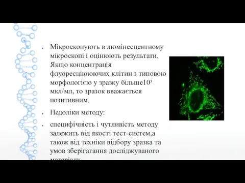 Мікроскопують в люмінесцентному мікроскопі і оцінюють результати. Якщо концентрація флуоресціююючих