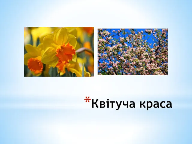 Квітуча краса