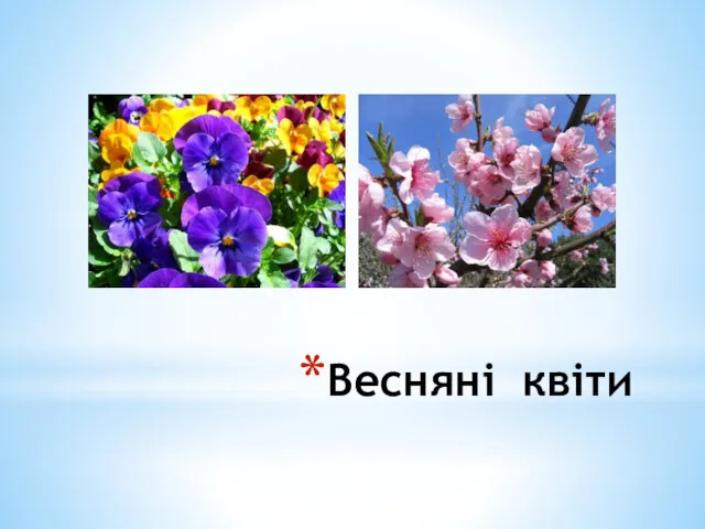 Весняні квіти