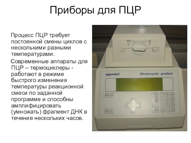 Приборы для ПЦР Процесс ПЦР требует постоянной смены циклов с