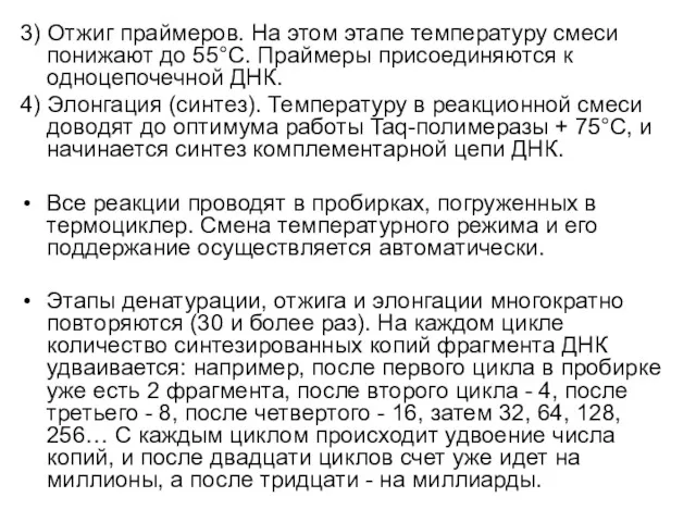 3) Отжиг праймеров. На этом этапе температуру смеси понижают до