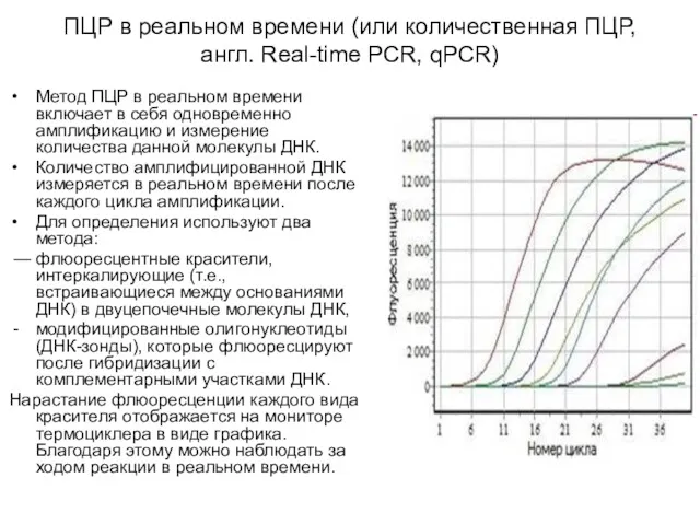 ПЦР в реальном времени (или количественная ПЦР, англ. Real-time PCR,