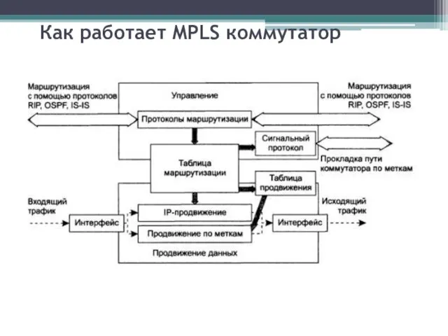 Как работает MPLS коммутатор