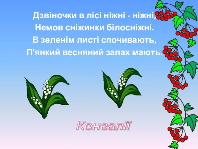 Дзвіночки в лісі ніжні - ніжні, Немов сніжинки білосніжні. В