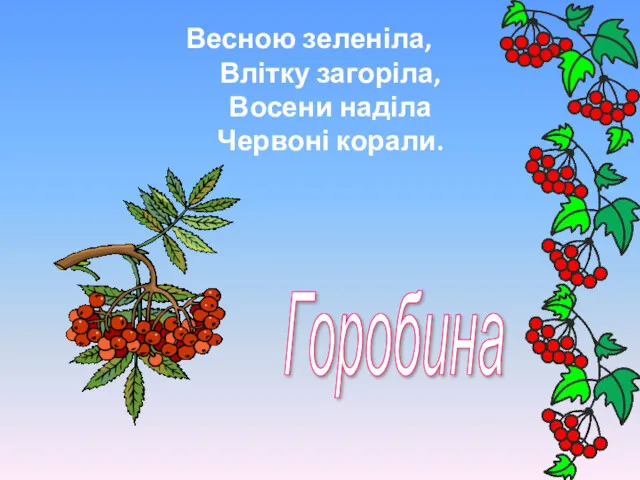 Весною зеленіла, Влітку загоріла, Восени наділа Червоні корали. Горобина